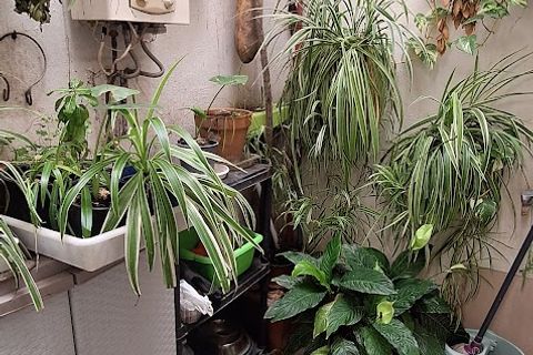 Landsbyhus i Ginestar, Tarragona, Ginestar - € 105.000 | Ref: CC835 - foto 10